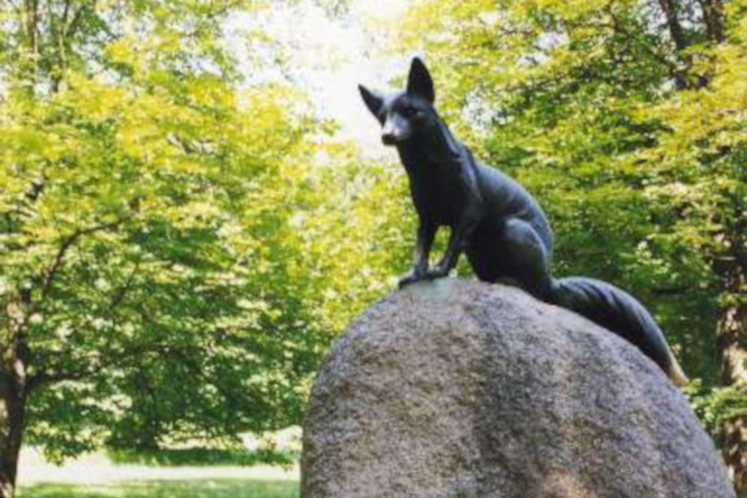 Fuchs