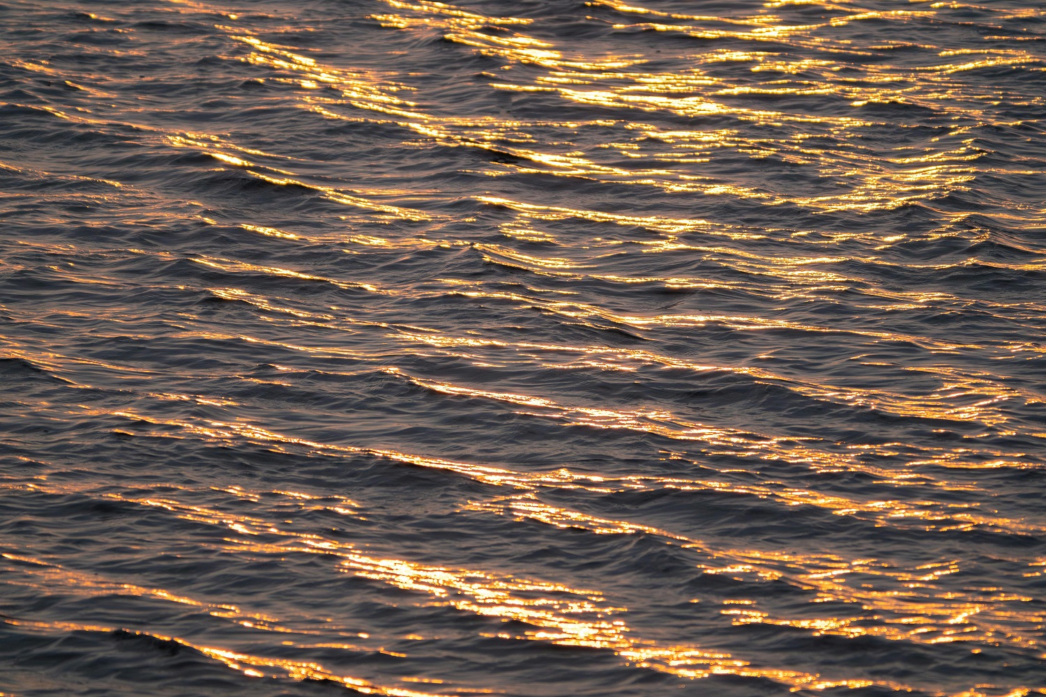 Leichte Wellen, die von der Abendsonne bescheint werden